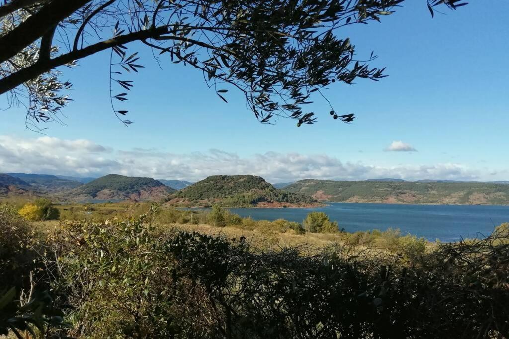 Studio 32M2 - Dans Propriete Avec Vue Imprenable Sur Le Lac Du Salagou Liausson Exterior foto